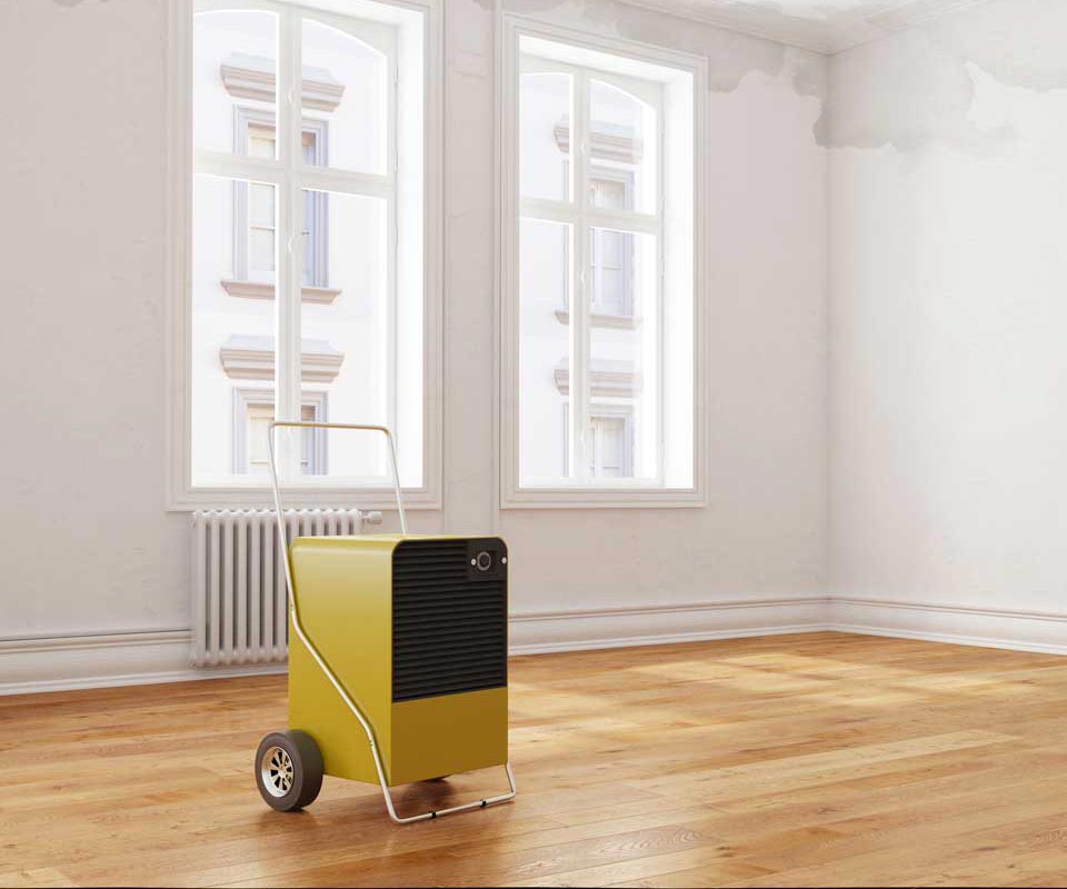 Warum Bautrocknung so wichtig ist.